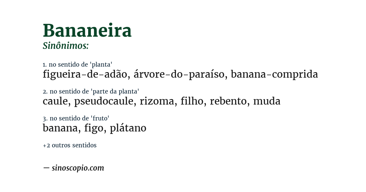 Sinônimo de bananeira