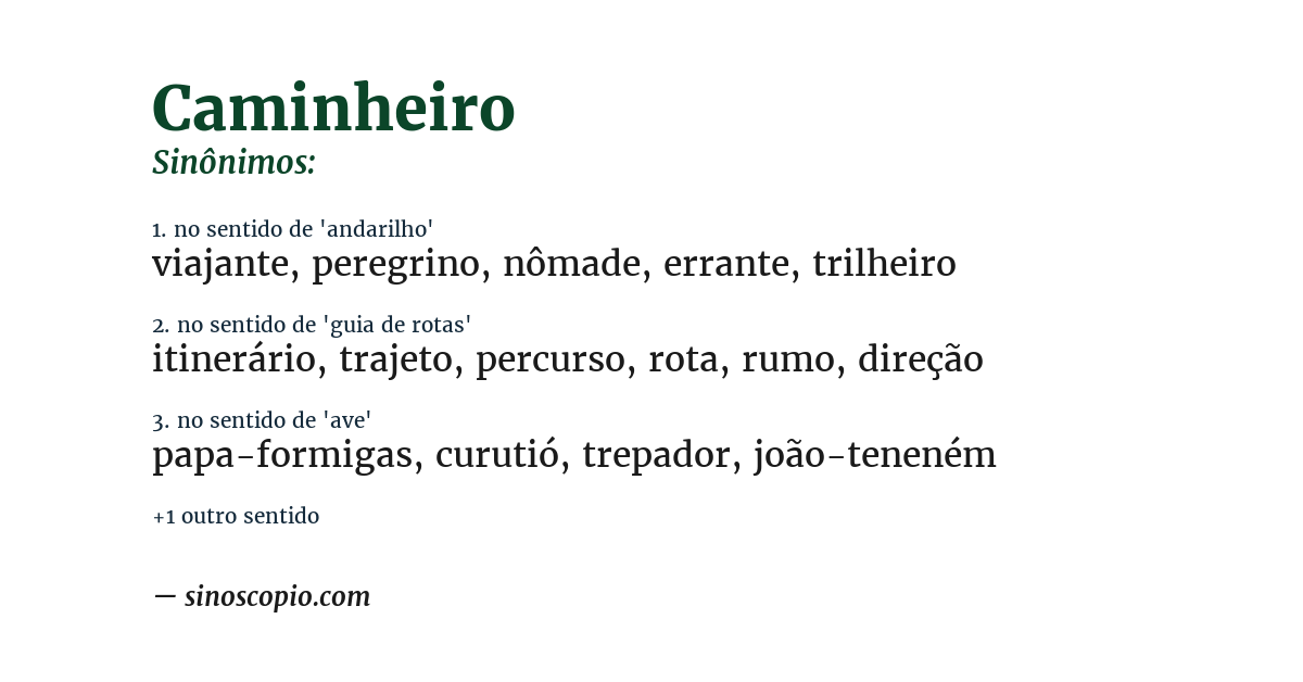 Sinônimo de caminheiro