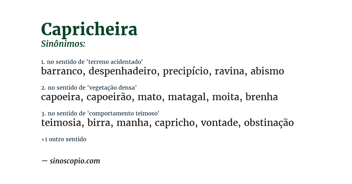 Sinônimo de capricheira