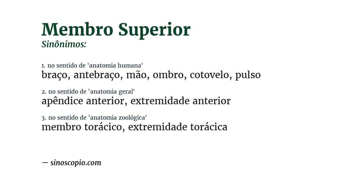 Sinônimo de membro superior