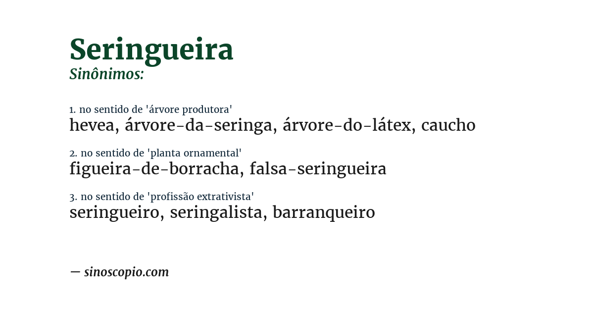 Sinônimo de seringueira