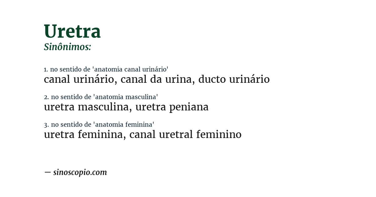 Sinônimo de uretra