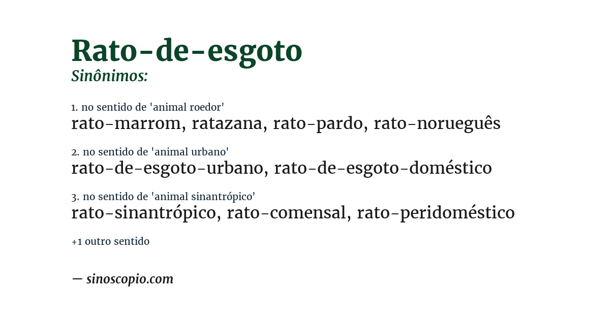 Sinônimo de rato-de-esgoto