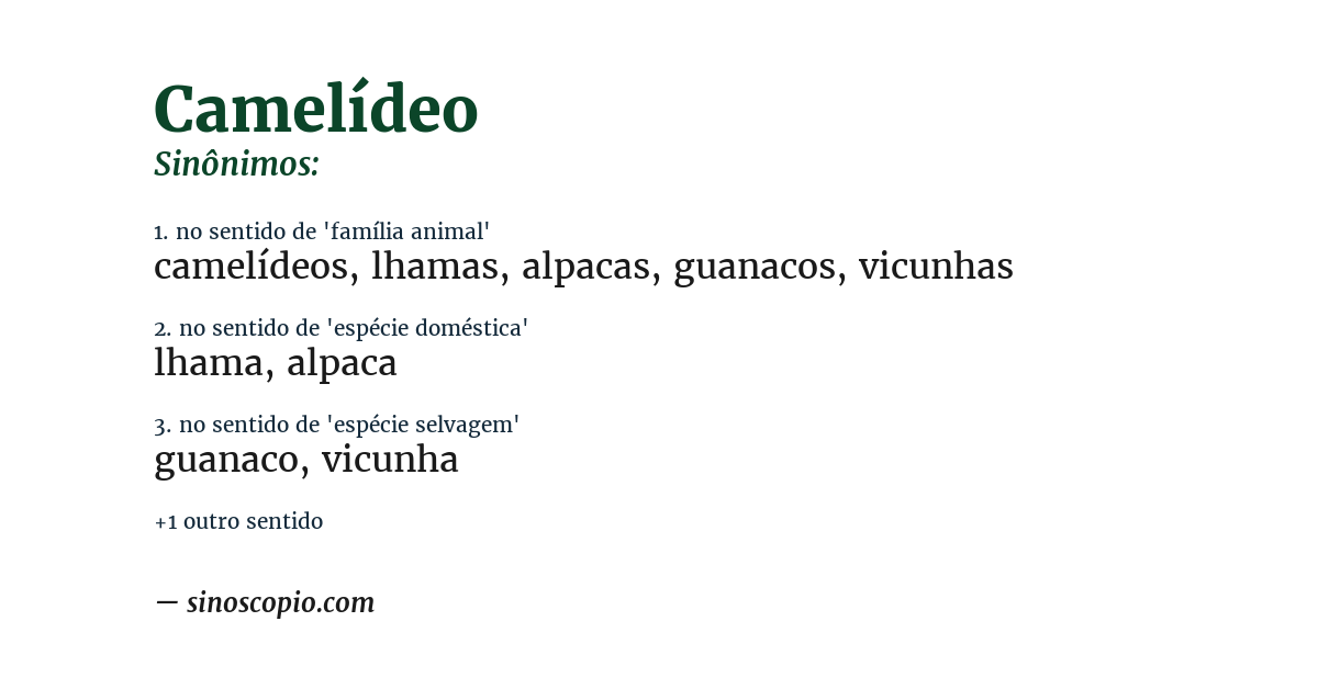Sinônimo de camelídeo