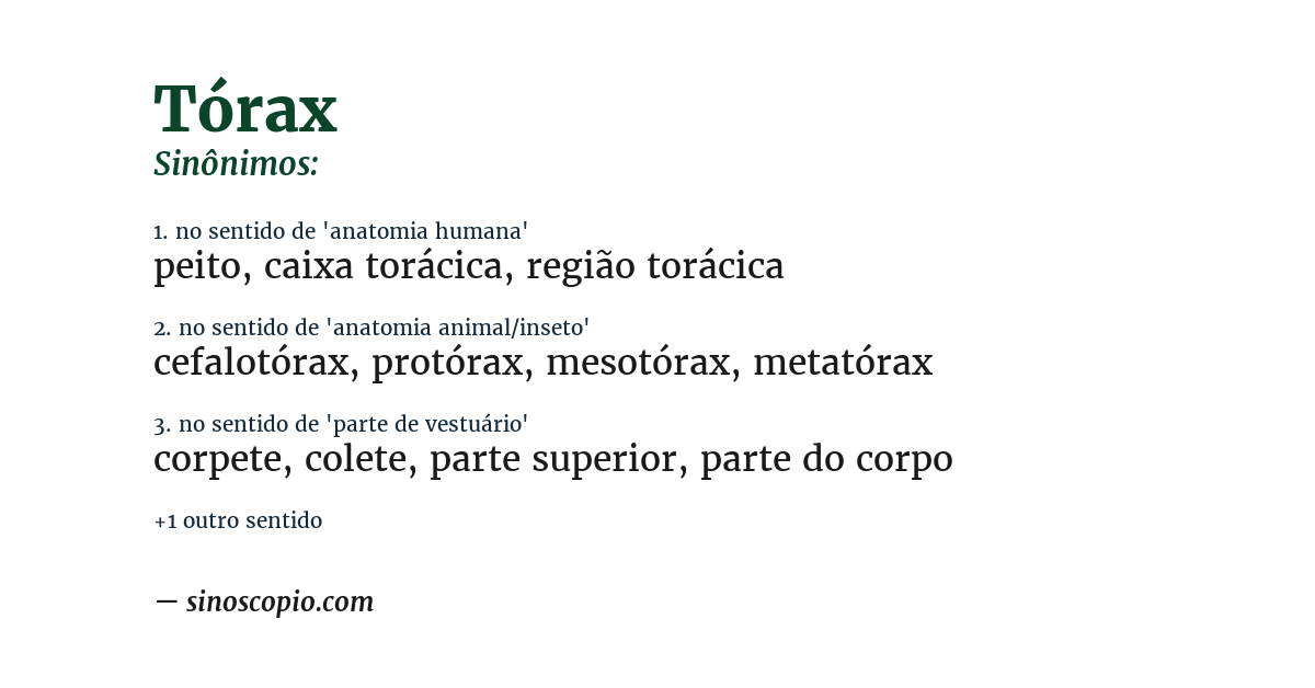 Sinônimo de tórax