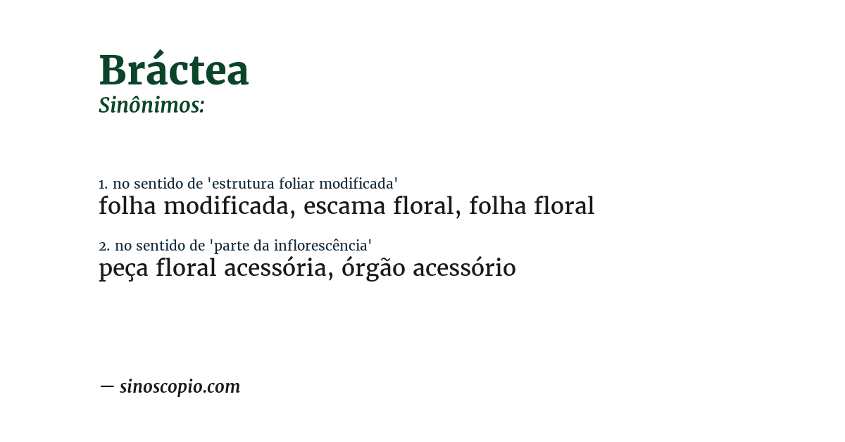 Sinônimo de bráctea