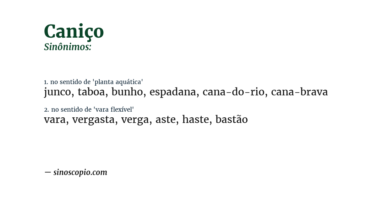 Sinônimo de caniço