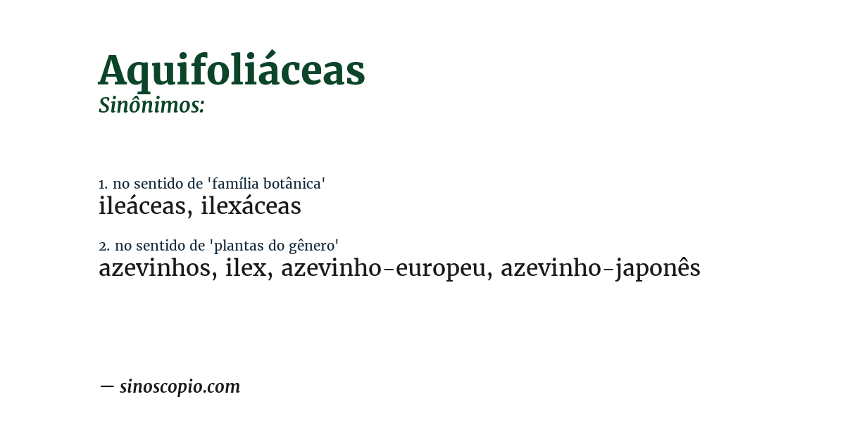 Sinônimo de aquifoliáceas