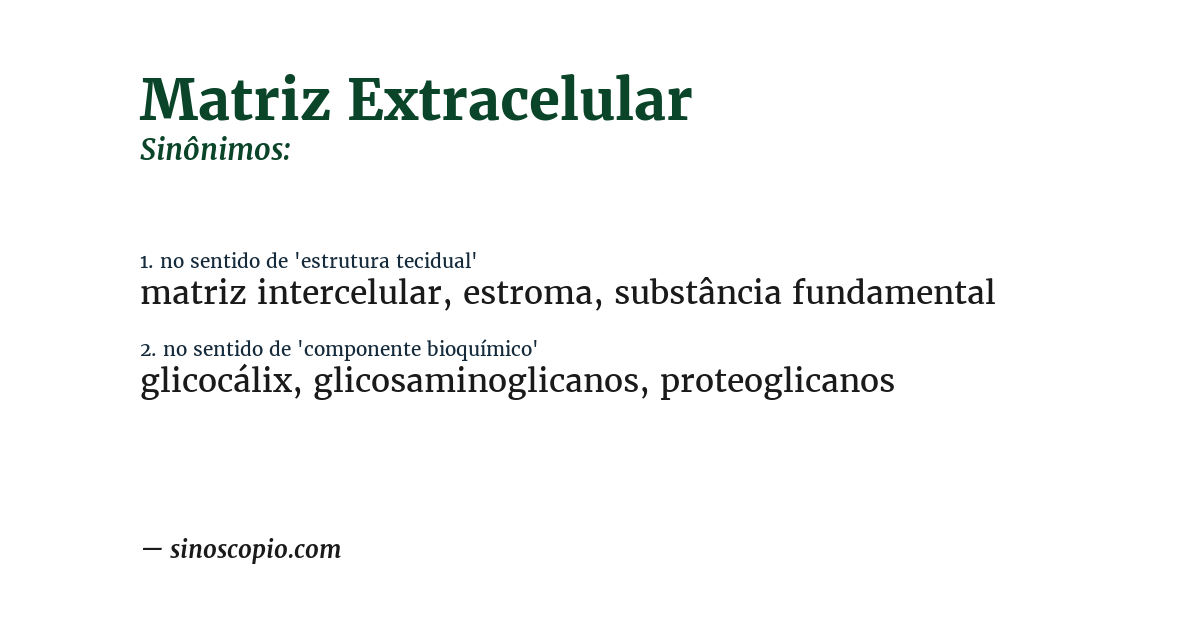 Sinônimo de matriz extracelular
