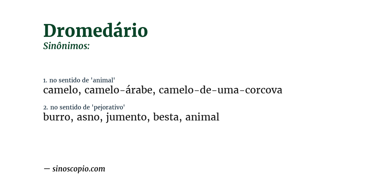 Sinônimo de dromedário
