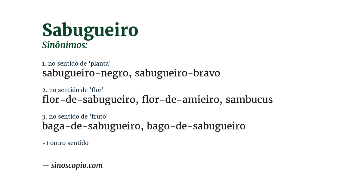 Sinônimo de sabugueiro