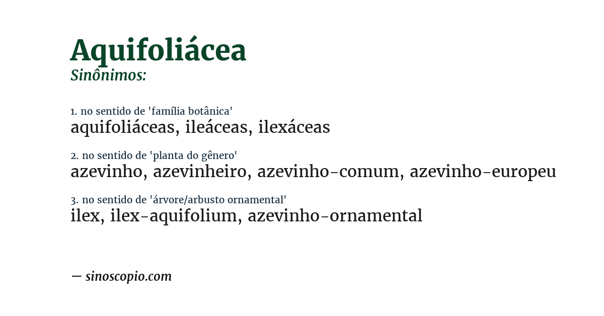 Sinônimo de aquifoliácea