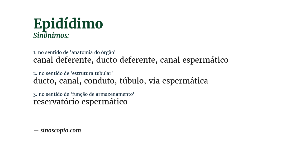 Sinônimo de epidídimo