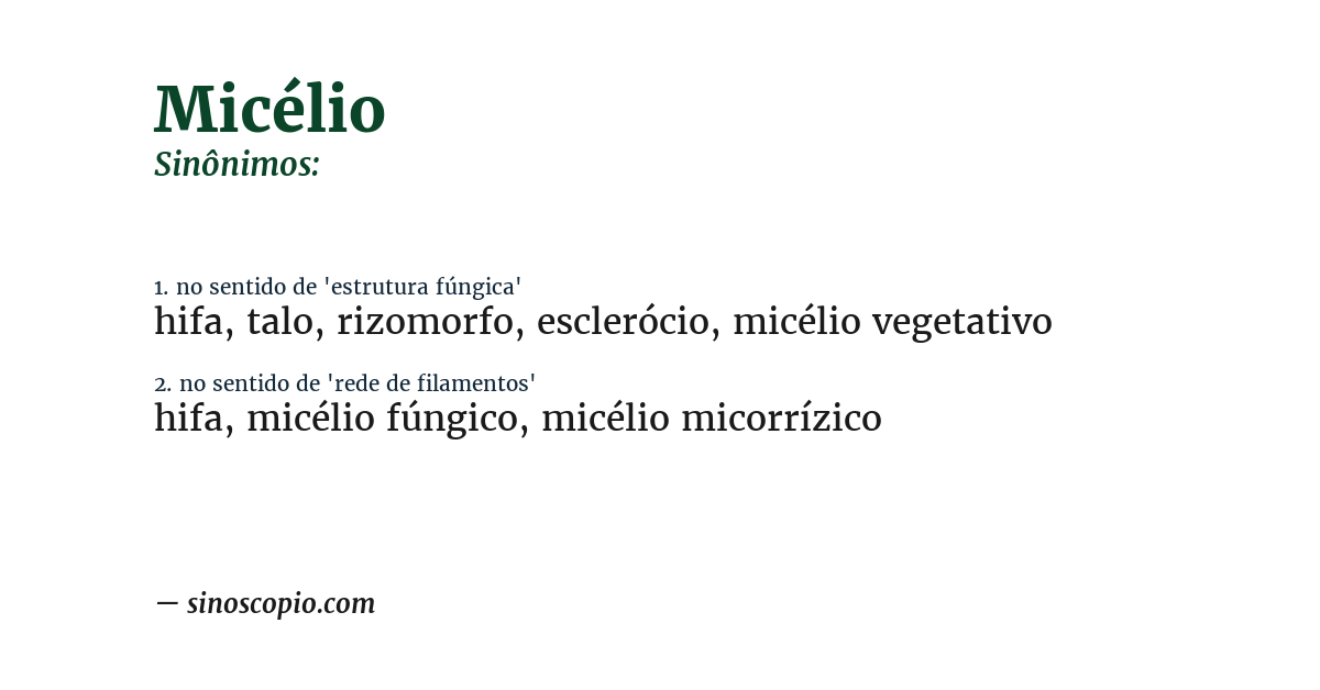 Sinônimo de micélio