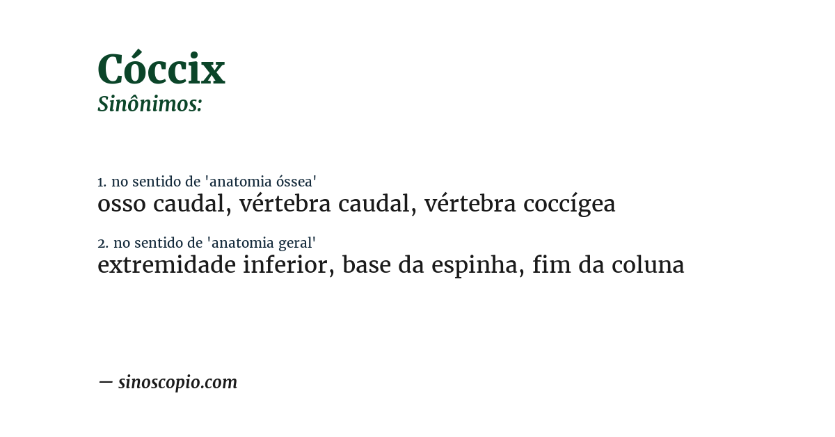 Sinônimo de cóccix