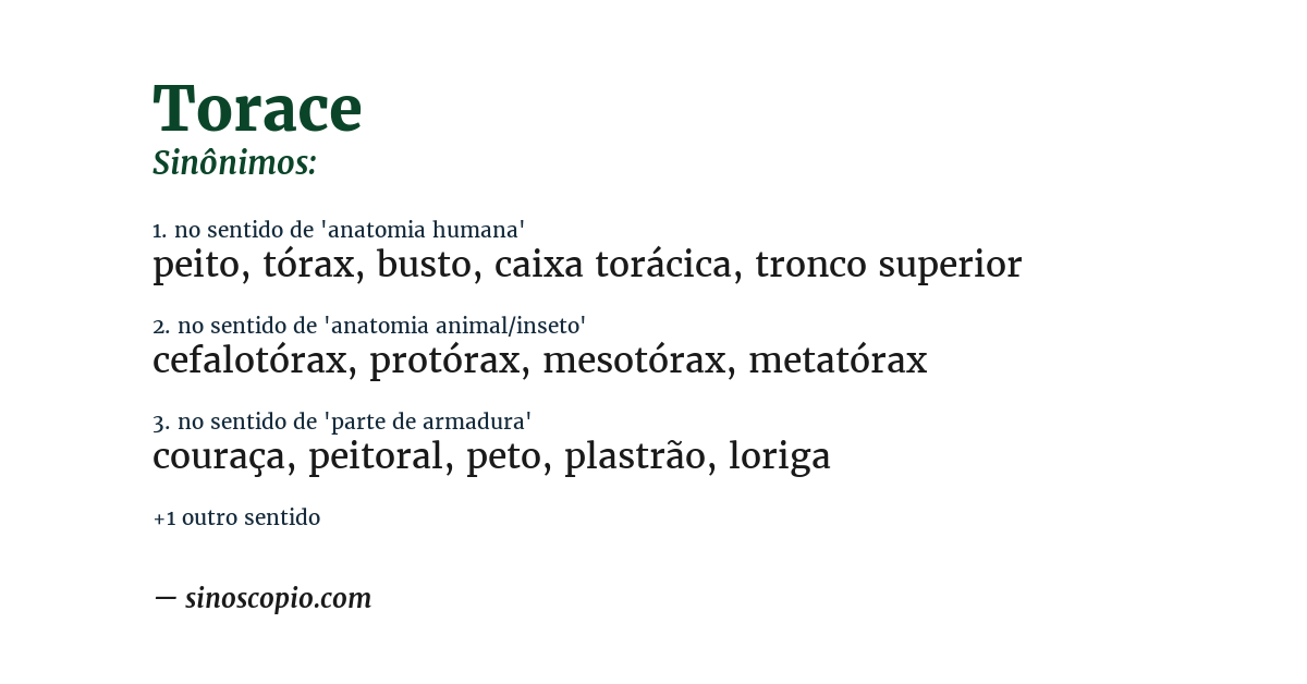 Sinônimo de torace