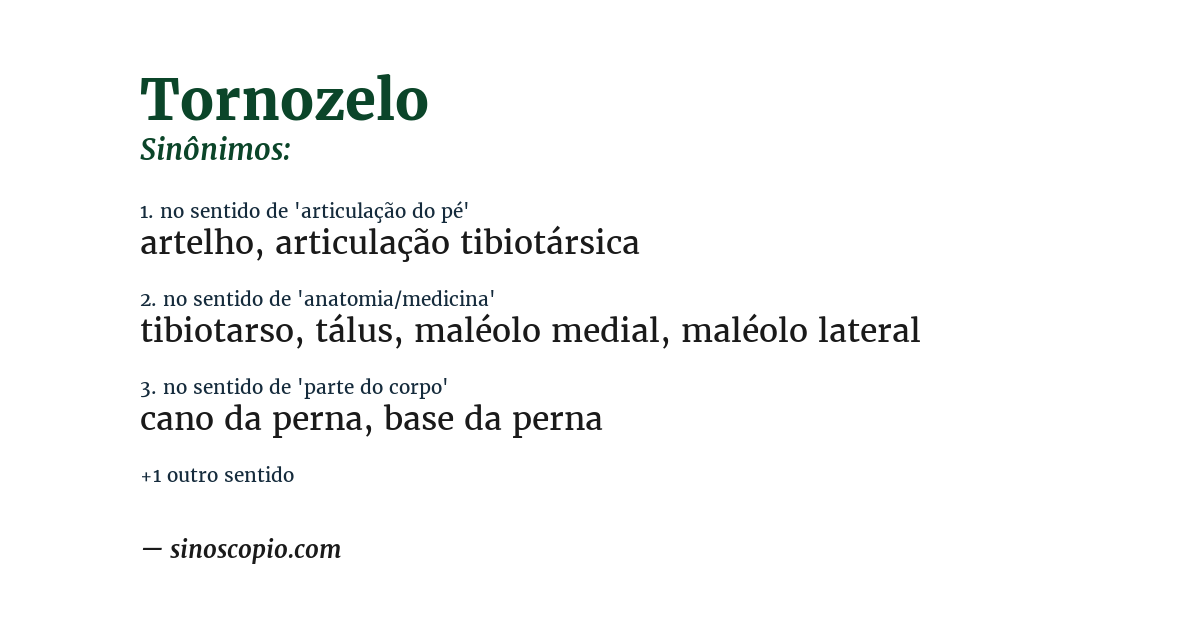 Sinônimo de tornozelo