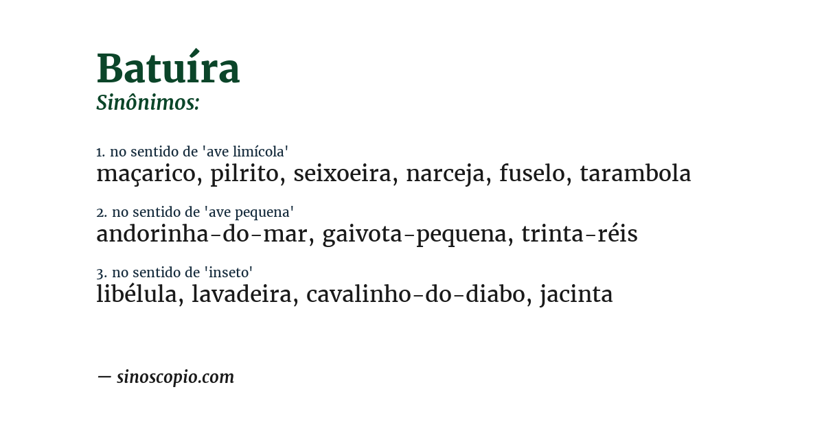 Sinônimo de batuíra