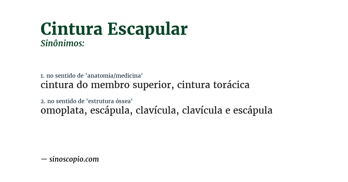 Sinônimo de cintura escapular