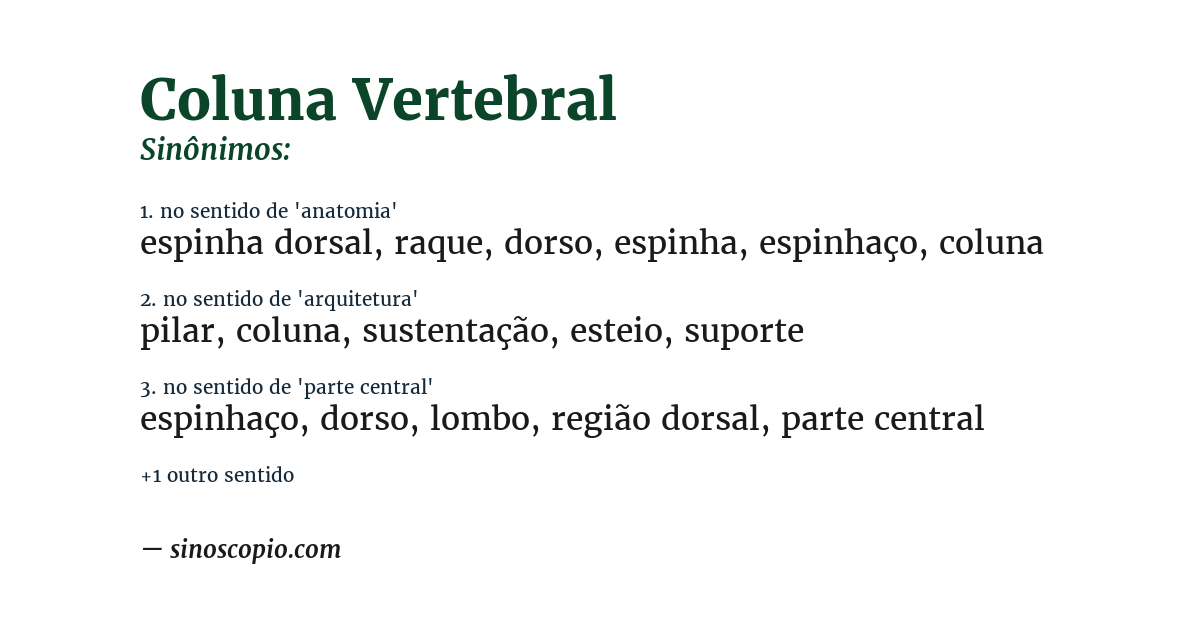 Sinônimo de coluna vertebral