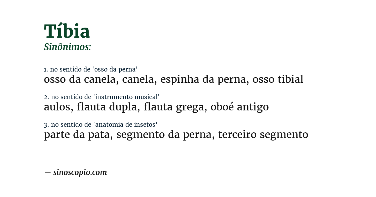 Sinônimo de tíbia