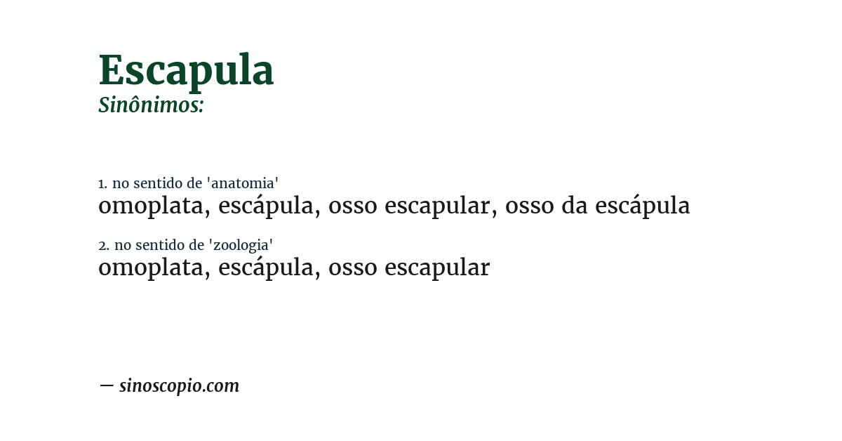 Sinônimo de escapula