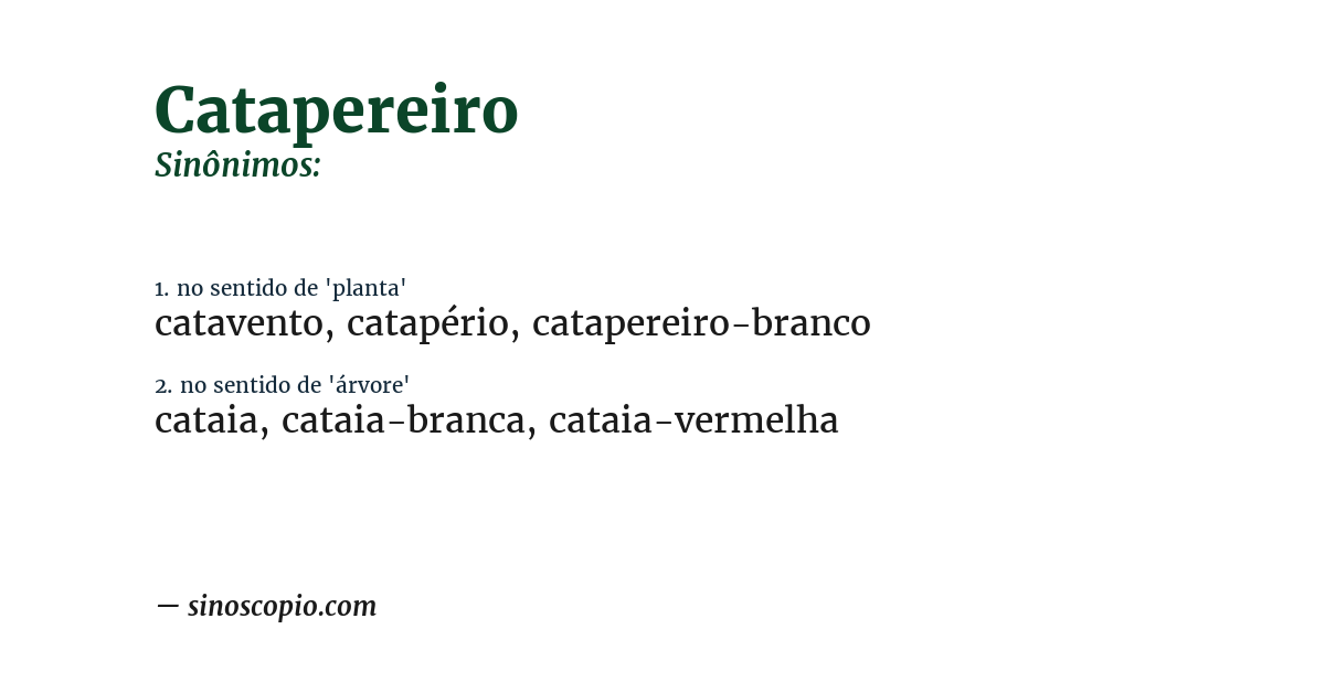 Sinônimo de catapereiro