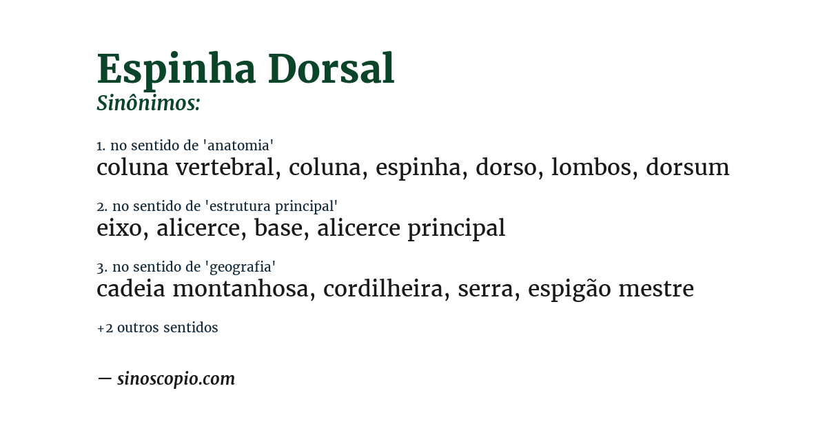 Sinônimo de espinha dorsal