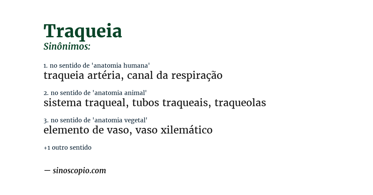 Sinônimo de traqueia