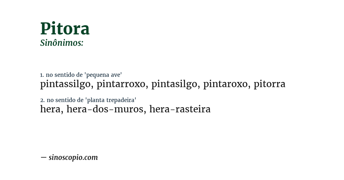 Sinônimo de pitora