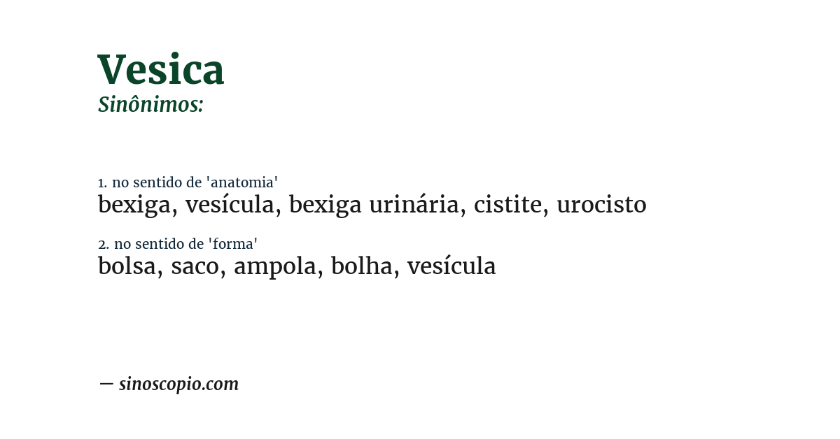 Sinônimo de vesica