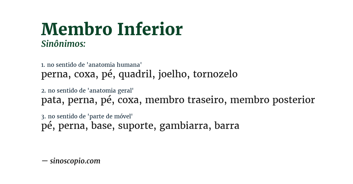 Sinônimo de membro inferior