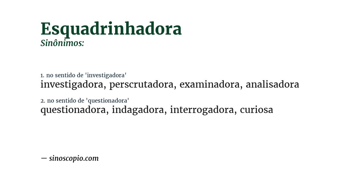 Sinônimo de esquadrinhadora