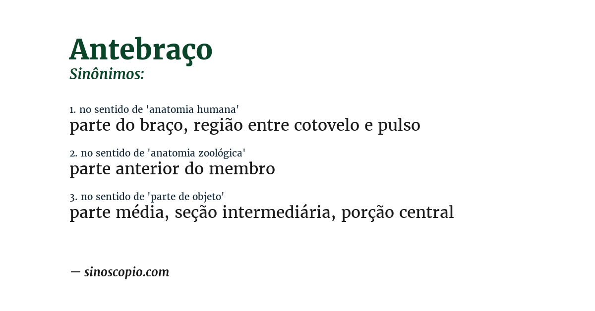Sinônimo de antebraço