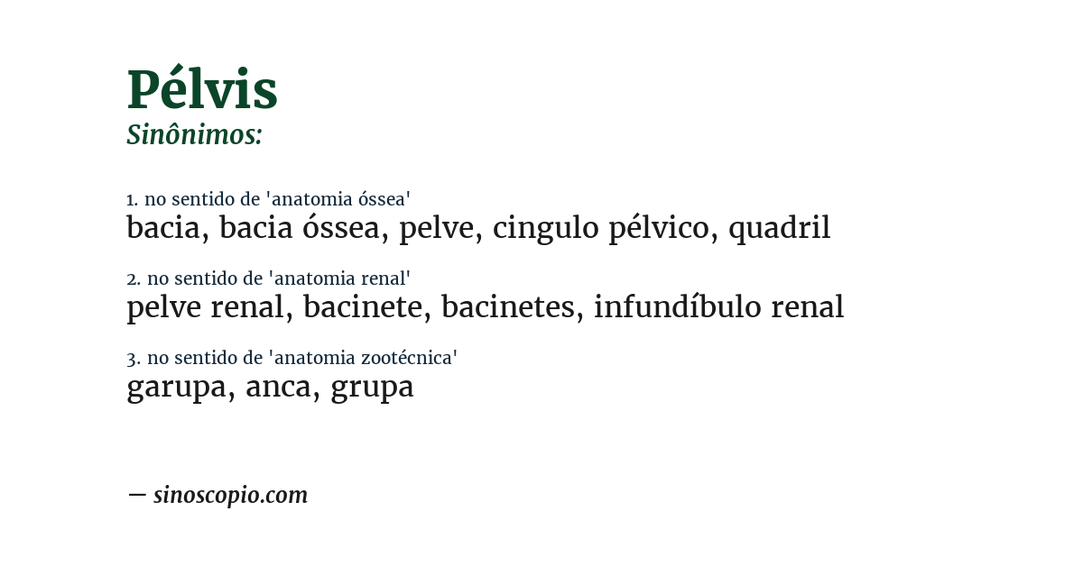 Sinônimo de pélvis