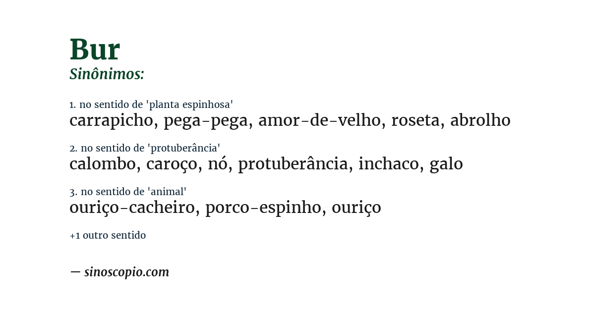 Sinônimo de bur