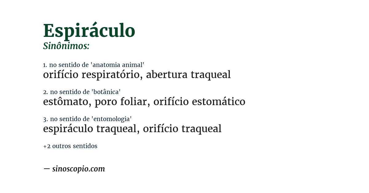 Sinônimo de espiráculo