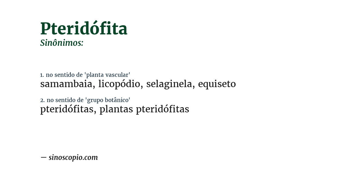 Sinônimo de pteridófita