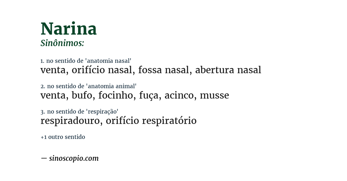 Sinônimo de narina