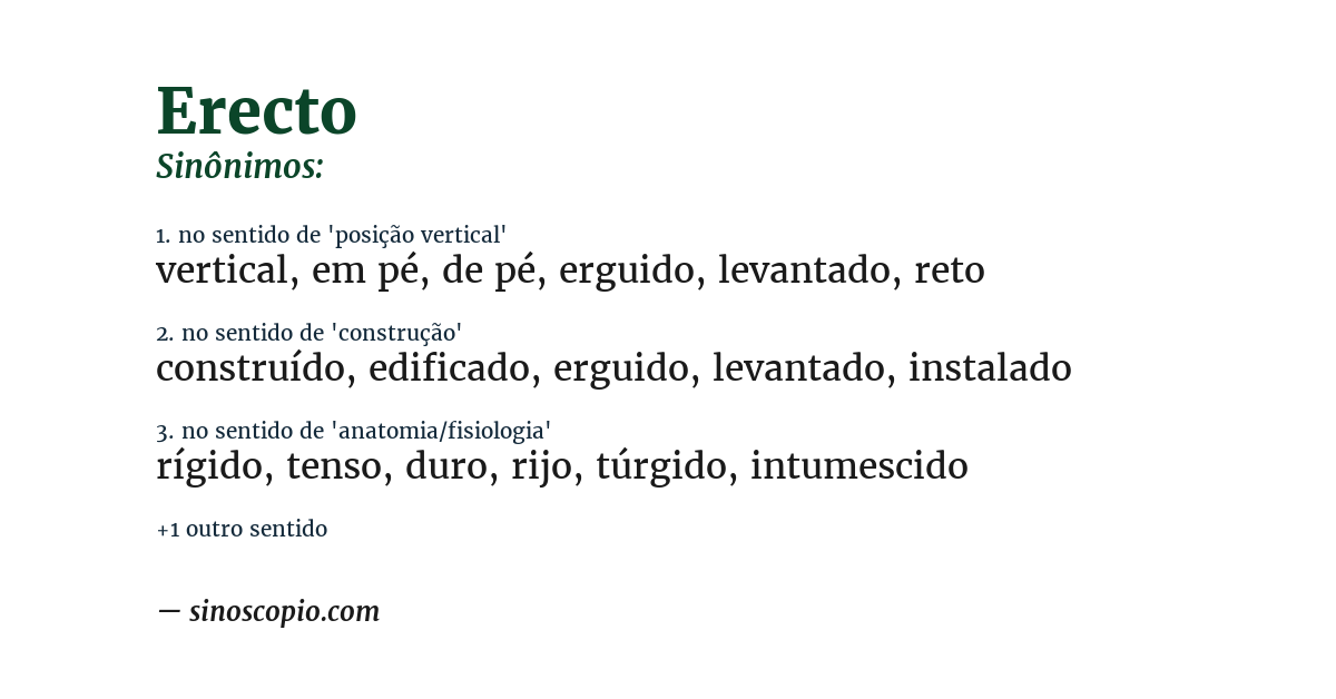 Sinônimo de erecto