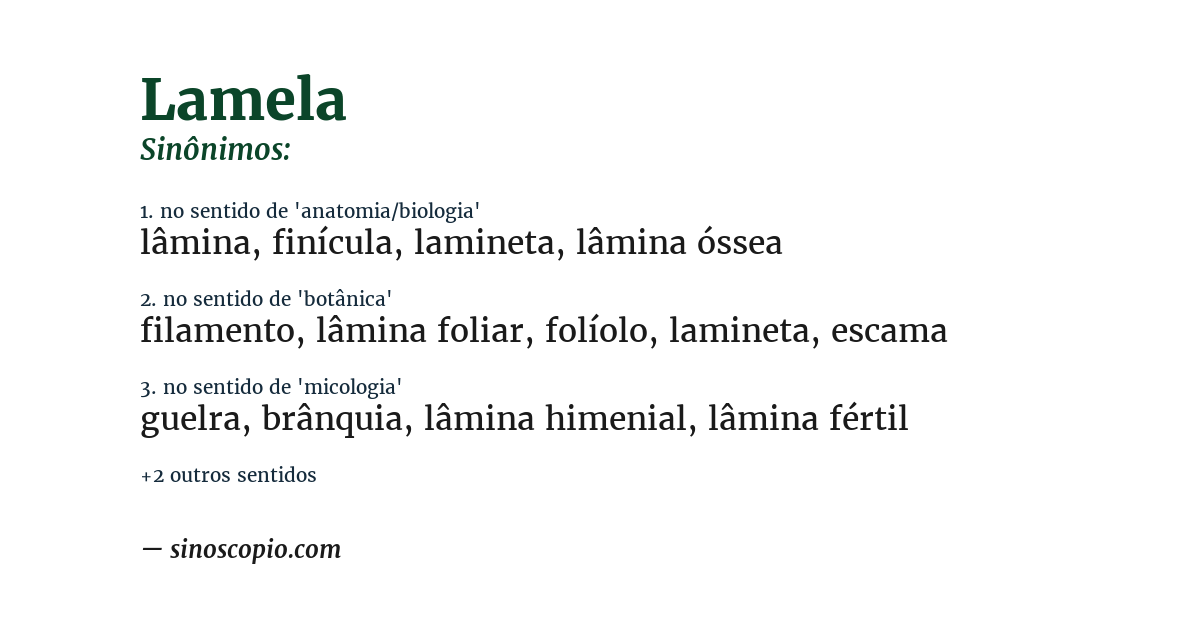 Sinônimo de lamela