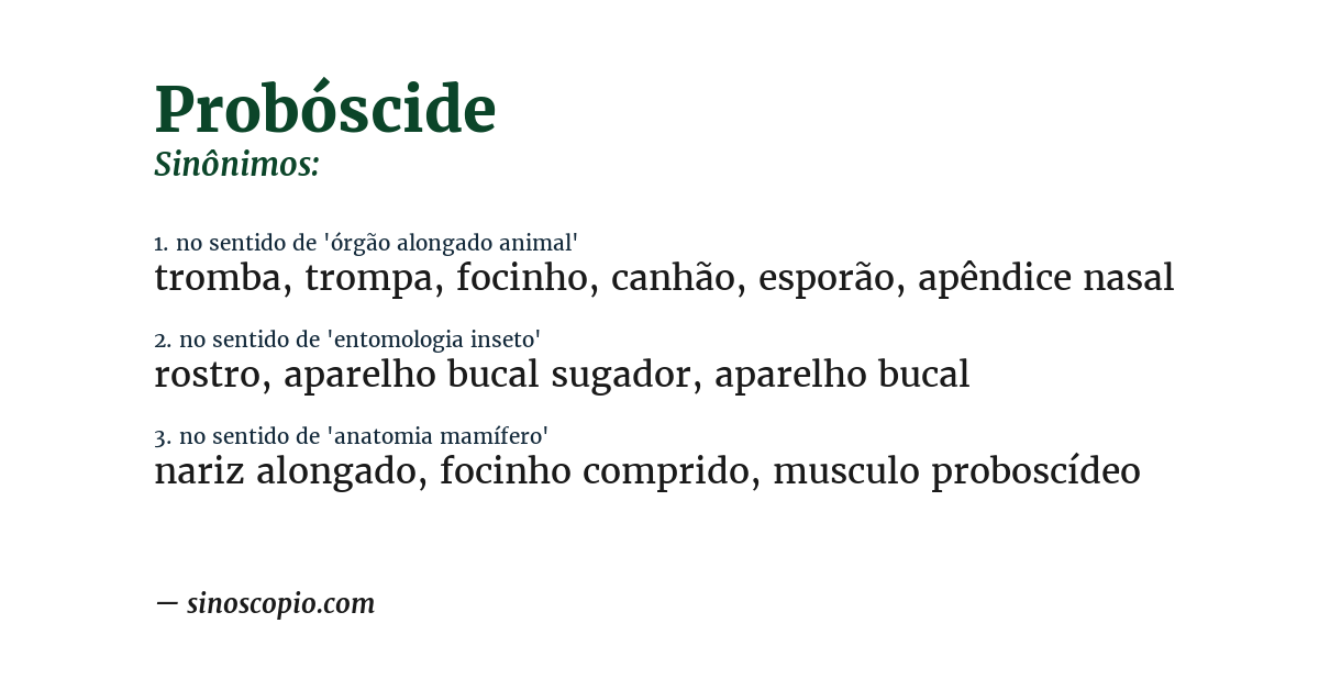 Sinônimo de probóscide