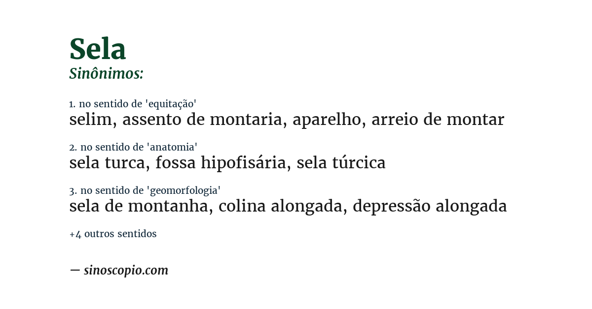 Sinônimo de sela