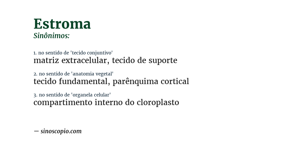 Sinônimo de estroma