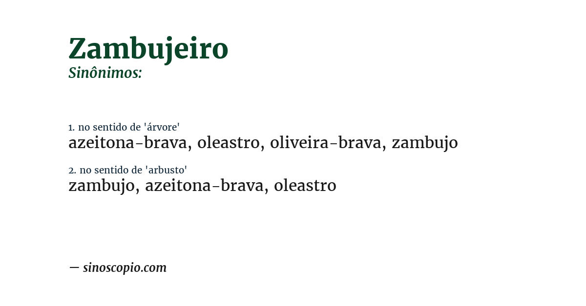 Sinônimo de zambujeiro