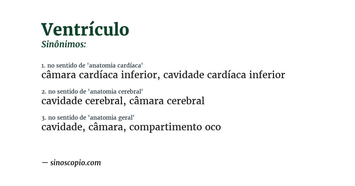 Sinônimo de ventrículo