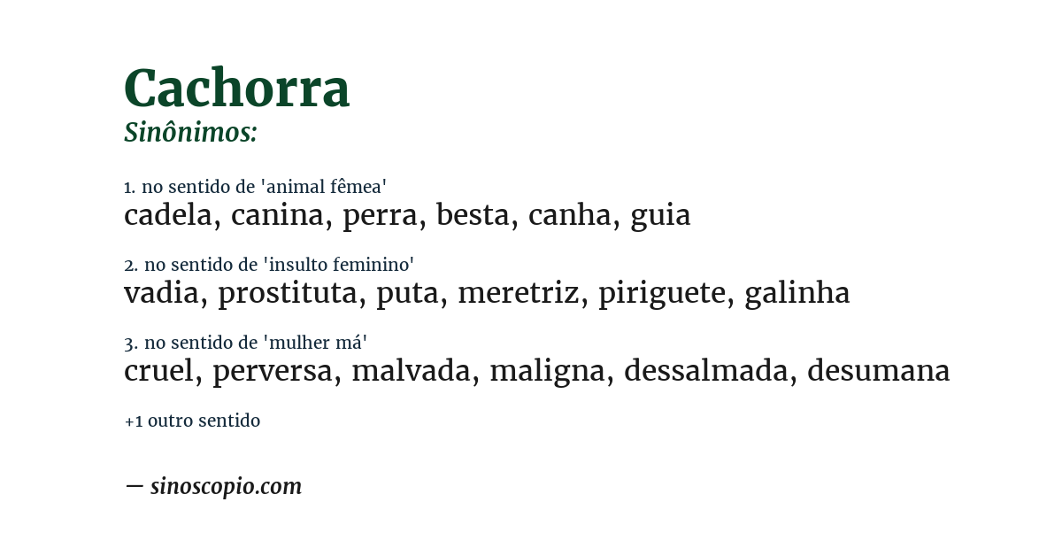 Sinônimo de cachorra