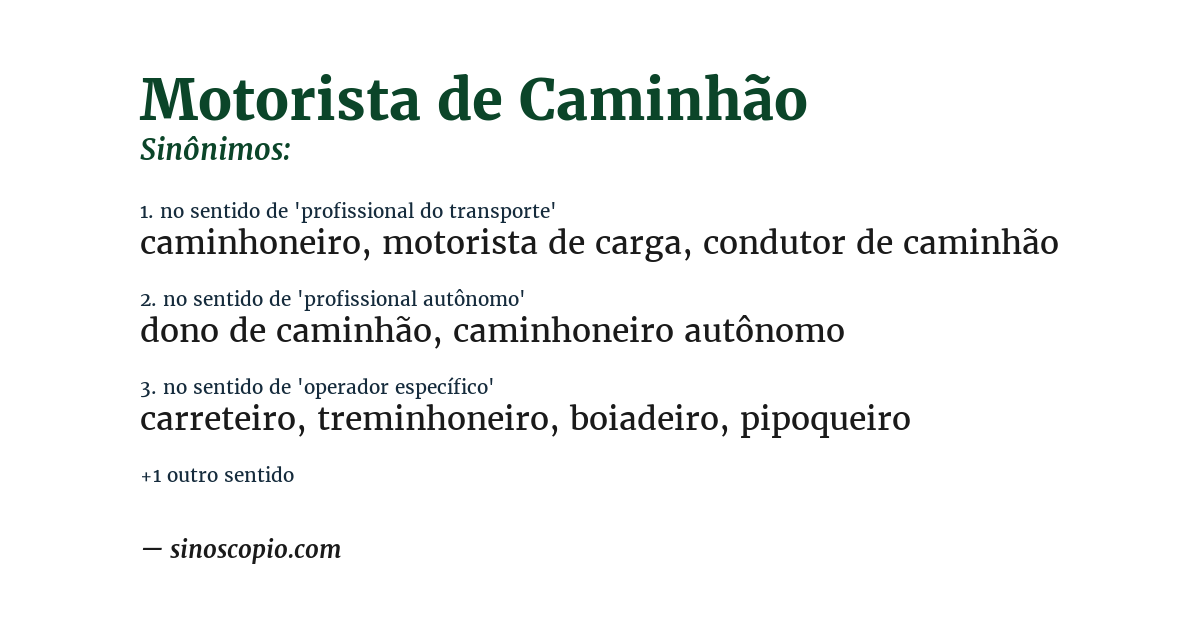 Sinônimo de motorista de caminhão