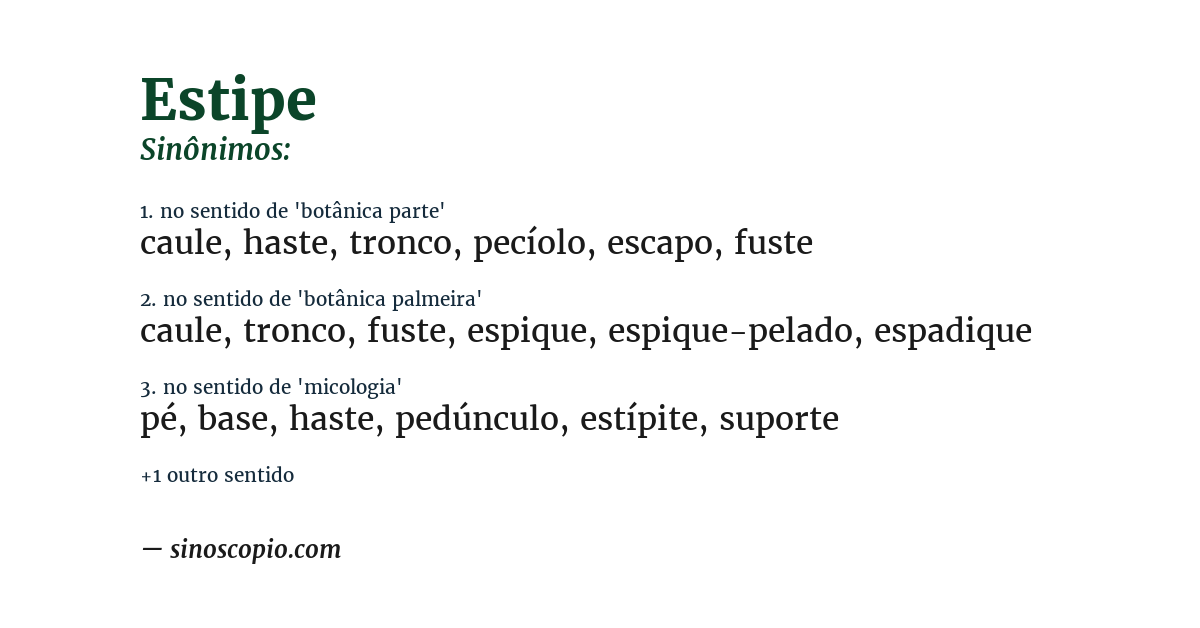 Sinônimo de estipe