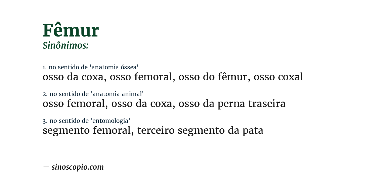 Sinônimo de fêmur